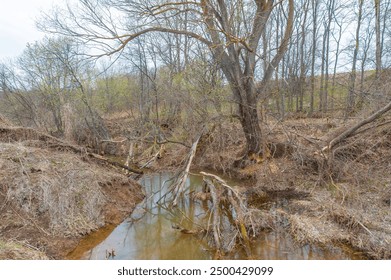 Exquisite oasis in the midst of endless fields A place where reflection meets the wild Experience the serenade of a beaver paradise. Uncover the mysteries of Mysterious Pond