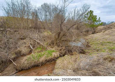 Exquisite oasis in the midst of endless fields A place where reflection meets the wild Experience the serenade of a beaver paradise. Uncover the mysteries of Mysterious Pond