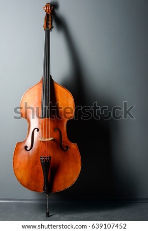 Exquisite professional contrabass on the grey background, close-up. Shadow on the wall. String music, jazz, swing, blues.