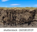 extended Root and soil layers on edge of pasture drop off 
