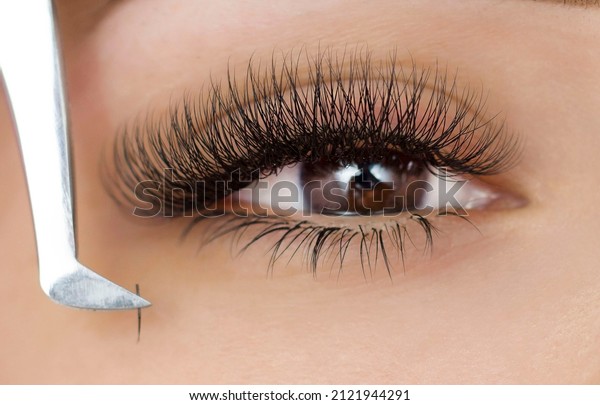 Extension of\
the lower eyelashes. a young woman undergoes a close-up eyelash\
extension procedure. Tweezers. Down\
below