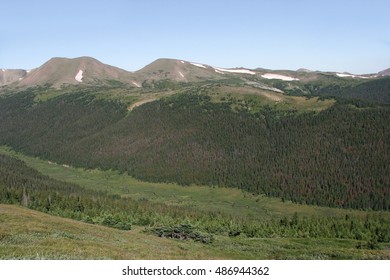 Extensive Beetle Kill In The Western Side Of Rocky Mountain National Park, Colorado