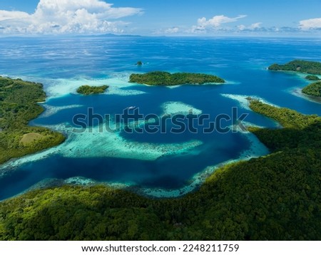Extensive coral reefs fringe rainforest-covered islands in the Solomon Islands. This beautiful country is home to spectacular marine biodiversity and many historic WWII sites.