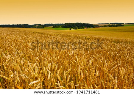Before harvest