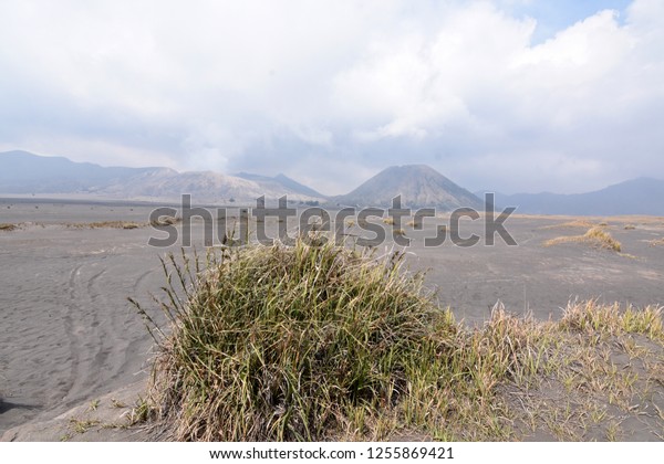 extensive\
savanna with cool air on Mount Bromo,\
Indonesia