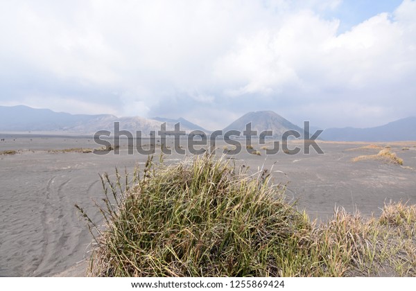 extensive\
savanna with cool air on Mount Bromo,\
Indonesia