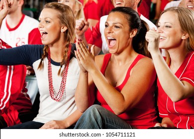 Extensive Series Of A Crowd Of Baseball Fans, Sitting In A Stadium.  Having Fun, Cheering, Etc.