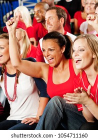 Extensive Series Of A Crowd Of Baseball Fans, Sitting In A Stadium.  Having Fun, Cheering, Etc.