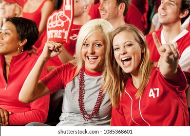 Extensive Series Of A Crowd Of Baseball Fans, Sitting In A Stadium.  Having Fun, Cheering, Etc.