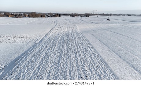 Extensive snow-covered fields under a clear sky, depicting tranquil winter landscape. The flat terrain stretches into the horizon, showcasing rural scenery with distant houses, ideal for seasonal themes.