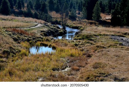 extensive stands of dwarf pines. it is the edge of a peat bog. lakes in the mountains have a large retention capacity. heathland plains in the highlands will have plenty of places to breed amphibians