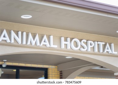 Exterior Closeup Of Animal Hospital Lettering Sign