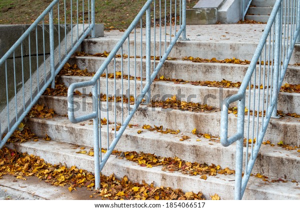 Exterior concrete steps to\
a building. There are six steps covered in bright red, orange, and\
yellow autumn leaves. There are three grey metal railings dividing\
the steps. 