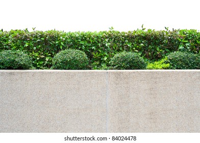 Exterior Decoration Of Garden On A Gravel Concrete Wall Isolated On White Background