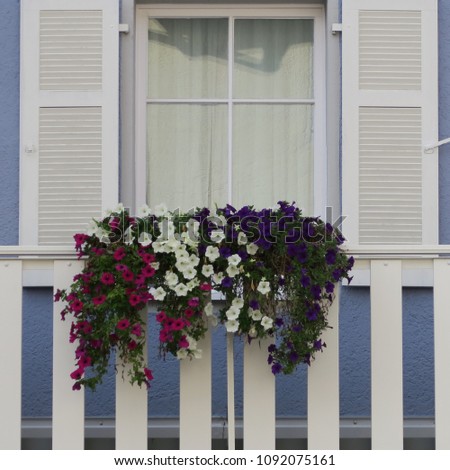 Similar – UT Only floating is more beautiful I Cozy flower window