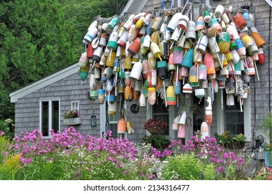 Exterior Of House In Coastal Maine Decorated With Collection Of Colorful Lobster Buoys Alongside Perennial Garden Of White Daisies And Bright Pink Blooming Phlox.