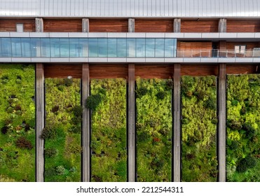 The Exterior Of A Large Industrial Building With Plants And Fauna Growing On Its Side On A Living Wall For Net Zero And Carbon Neutral Concept