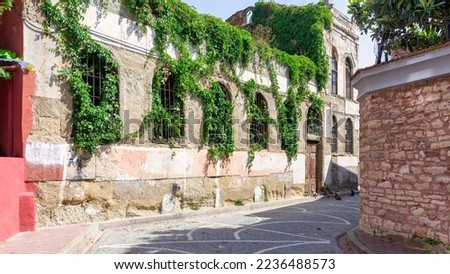 Exterior of old abandoned building, with weathered stone wall, and wrought iron windows, covered with climber plants, in a narrow alley with cobblestone floor, Balat district, Istanbul, Turkey