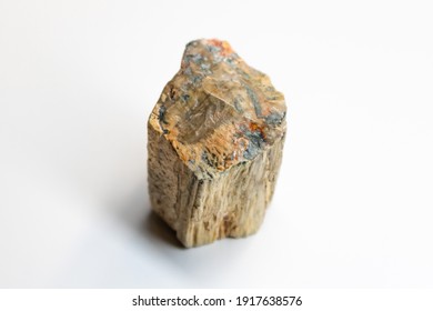 Exterior petrified wood section with multicolor elements on the exterior. 