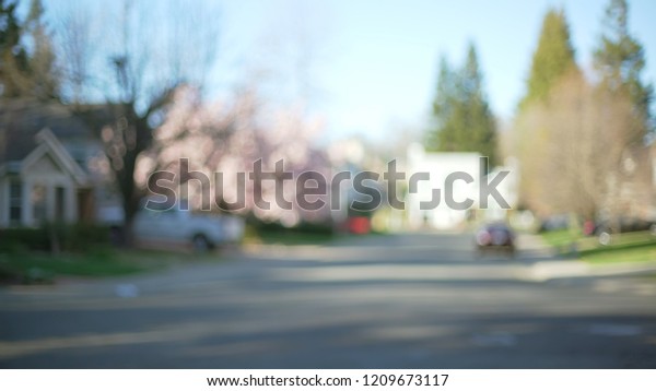 Exterior scene of a quiet neighborhood street with a\
cherry blossom tree