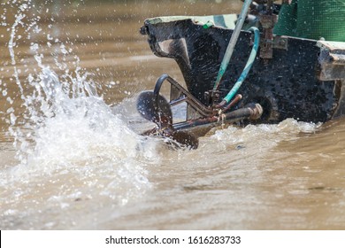 Stock Photo and Image Portfolio by bart acke | Shutterstock