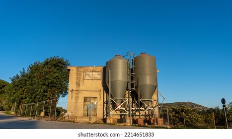 Exterior Silos To Store Grain And Feed In A Poultry Farm