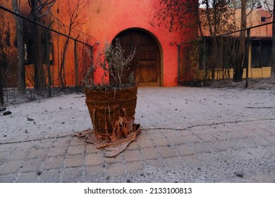 Exterior View Of A Burnt House After The Wildfire In Suburb Of Athens West Of Athens, Greece On August 4, 2021.