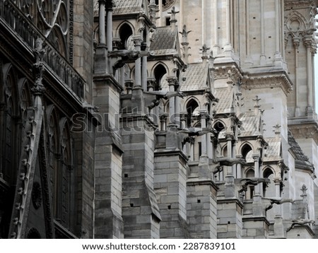 Exterior view of the gargoyles of the Cathedral of Notre Dame in Paris