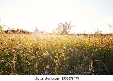 Exterior View Of Teepee Tent On Camp Site Pitched In Field Of Wild Flowers With No People