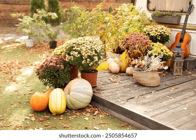 Exterior wooden porch house with autumn decorations, lanterns and guitar in rustic style. Interior cozy yard with fall flowers chrysanthemums potted and orange pumpkins decorated for Halloween.  - Powered by Shutterstock