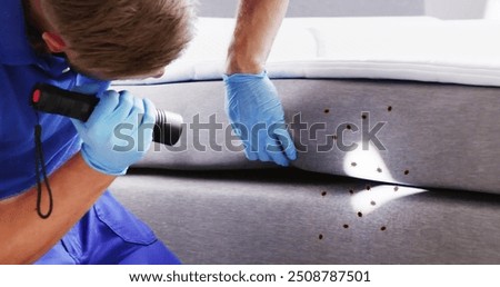 Exterminator checking bed bugs for treatment and control