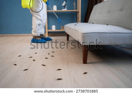 Exterminator from pest control service using spray and insecticide disinfecting at home, targeting insect cockroaches with effective treatment. copy space