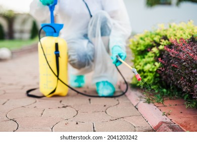 Exterminator In Work Wear Outdoors Spraying Pesticide With Sprayer.