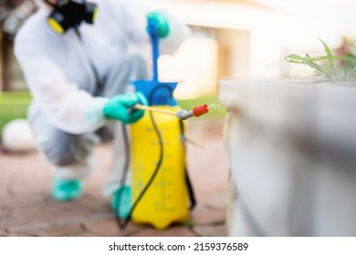 Exterminator In Work Wear Outdoors Spraying Pesticide With Sprayer