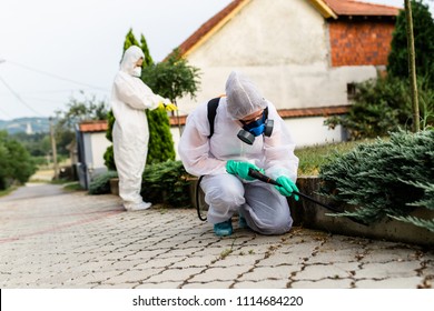 Exterminators outdoors in work wear spraying pesticide with sprayer.