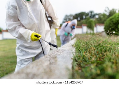 Exterminators outdoors in work wear spraying pesticide with sprayer. 