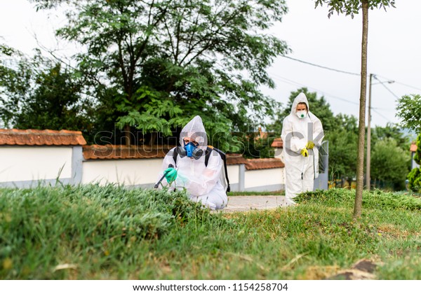 Exterminators outdoors in work wear spraying pesticide
with sprayer. 