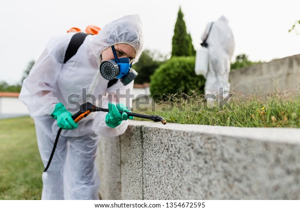 Exterminators outdoors in work wear spraying pesticide\
with sprayer. 