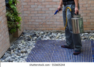 The Exterminator,Technicians compressed chemicals into the soil around the area. To break the cycle termite queens. Selective focus. - Shutterstock ID 553605244