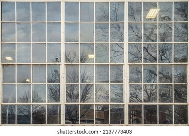 External View Of A Large Industrial Sash Window Panel With Reflections Of Trees And Building And Lights Visible Inside