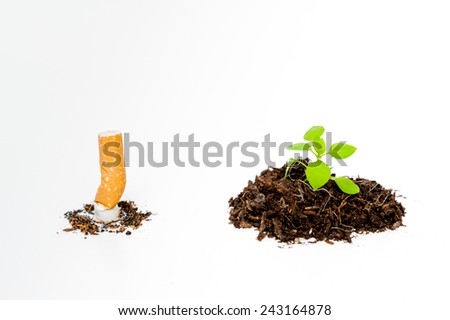 Extinguished cigarette and green newborn plant isolated on white background - Stop smoking for the environment