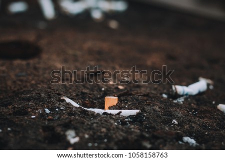 Extinguished Cigarette on a ground