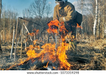 Extinguishing the fire. Dangerous job. Forest fires. Fireman at work. Firefighting, scorched earth. Forest fires. Fire safety. Bucket of water