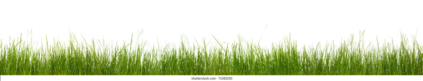 Extra large horizontal strip of grass, dirt, and roots isolated on white background.