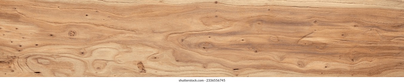 Extra long elm planks texture background. Elm wood texture. Wide abstract texture background.