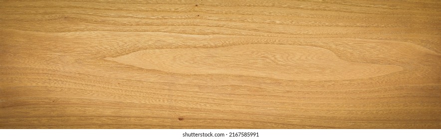 Extra Long Elm Wood Plank Texture Background.