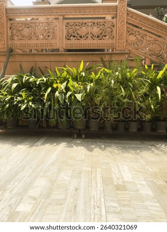 An extra ordinary white marble parking tiles view bear by a stone carving wall design.