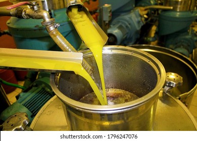 Extra Virgin Olive Oil Extraction Process In Olive Oil Mill In Greece.