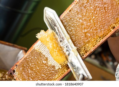 Extracting honey from honeycomb concept. Close up view of beekeeper cutting wax lids with hot knife from honeycomb for honey extraction.