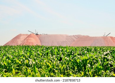 Extraction Of The Potassium Salt Of